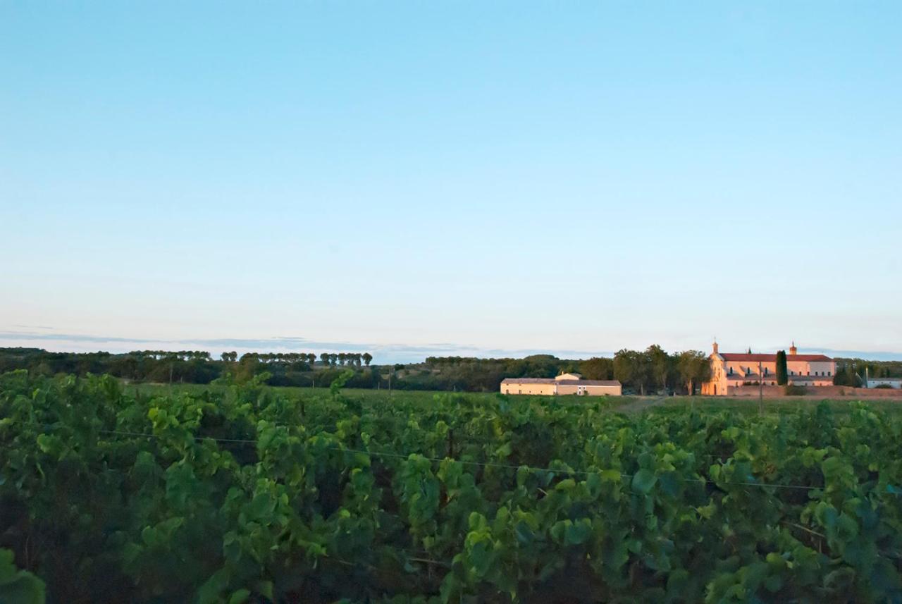 Chartreuse De Mougeres - Caux Pezenas Bed & Breakfast Екстериор снимка